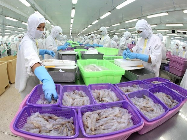 Exportaciones acuicolas vietnamitas disfrutan de beneficio del TLC con UEE hinh anh 1