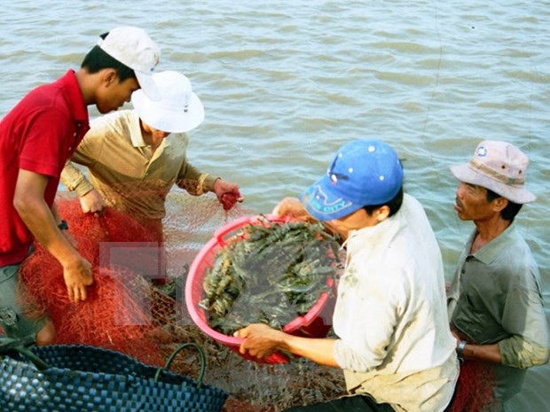 Visita Vietnam delegacion de empresas acuicolas de Peru hinh anh 1