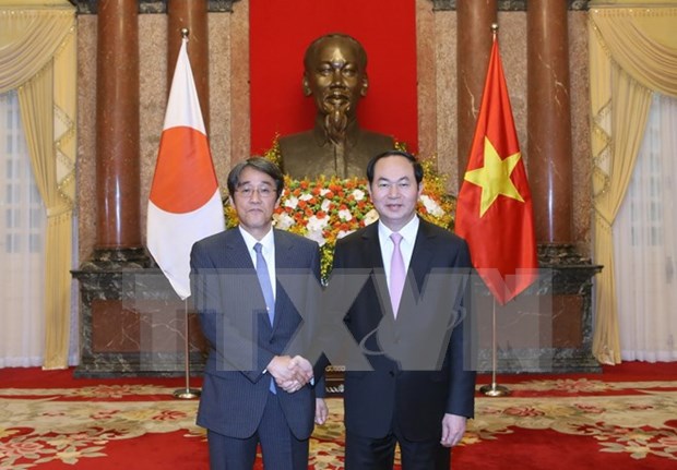 Presidente de Vietnam recibe a nuevos embajadores hinh anh 1