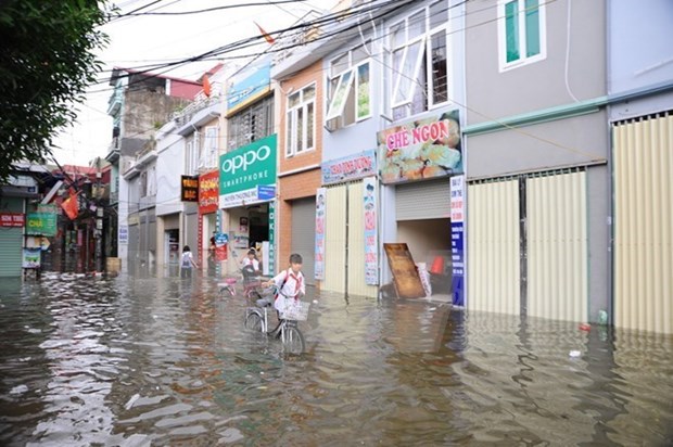 Banco Mundial respalda a ciudad deltaica de Vietnam en mejora de resiliencia hinh anh 1