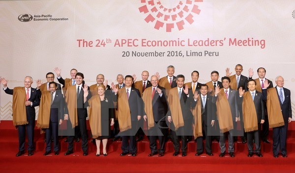 Alta expectativa en Vietnam como sede de APEC 2017 hinh anh 1