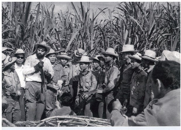 Fidel: un companero, un hermano de Vietnam hinh anh 1