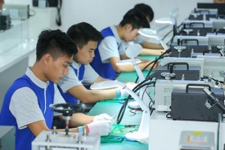 Empenada provincia vietnamita de Ca Mau en desarrollar recursos humanos con alta calificacion hinh anh 1