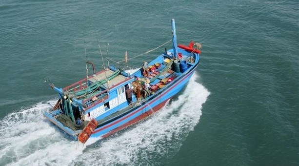 Provincia vietnamita intensifica combate contra la pesca ilegal hinh anh 1