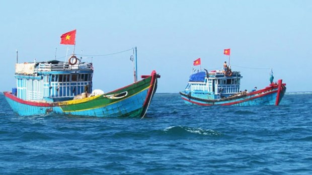 Provincia vietnamita intensifica combate contra la pesca ilegal hinh anh 2