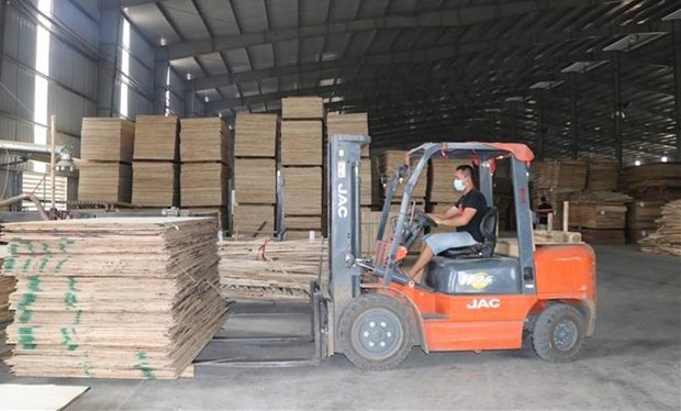 Incentivan en Vietnam comercio transparente de productos madereros hinh anh 1