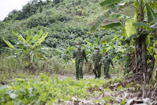 Prevencion y control del COVID-19: Vietnam cambia estado de defensa a ataque activo hinh anh 3