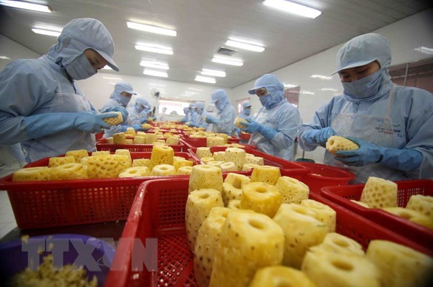 Crecen exportaciones hortofruticolas de Vietnam en primeros cuatro meses de 2021 hinh anh 2