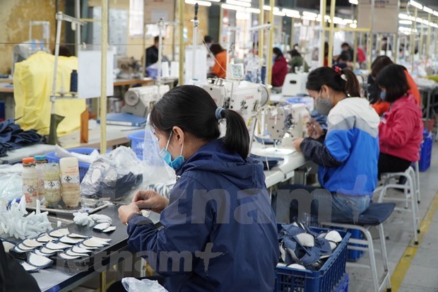 En alza exportaciones de calzado de Vietnam a pesar de impactos del COVID-19 hinh anh 1