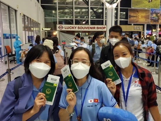 Japon “abre la puerta” para dar bienvenida a enfermeras vietnamitas hinh anh 1