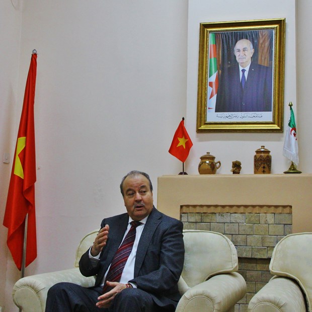 Vietnam se convierte en un ejemplo de exito en desarrollo socioeconomico, segun embajador de Argelia hinh anh 2