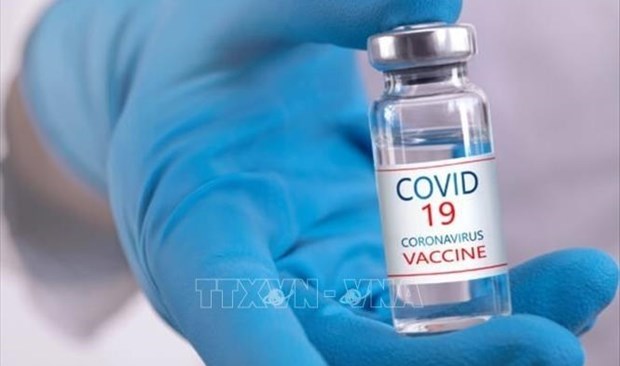 Vietnam adquirira millones de dosis de vacuna contra el COVID-19 para ninos hinh anh 1