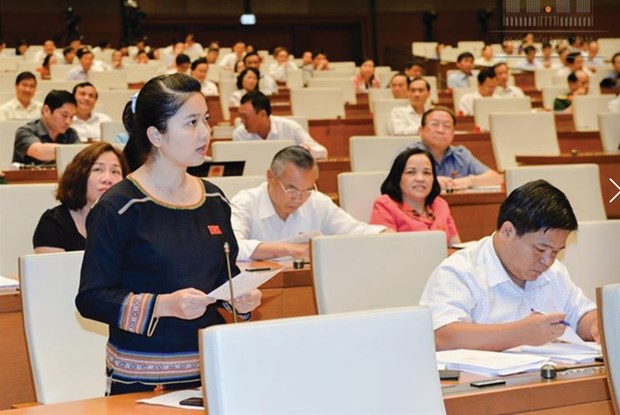 Vietnam aboga por mayor representatividad de minorias etnicas en el Parlamento hinh anh 1