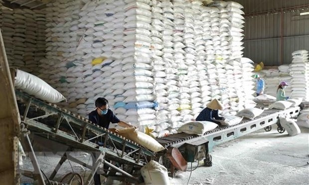 Gobierno vietnamita distribuira mas de 130 mil toneladas de arroz a 24 localidades hinh anh 1