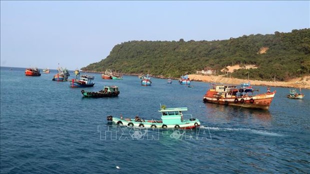 Vietnam traza politicas a favor de la economia azul hinh anh 2