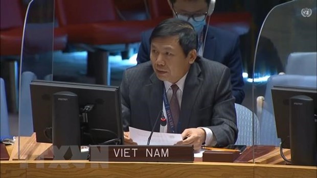 Realzan aportes de Vietnam al Consejo de Seguridad de la ONU hinh anh 2