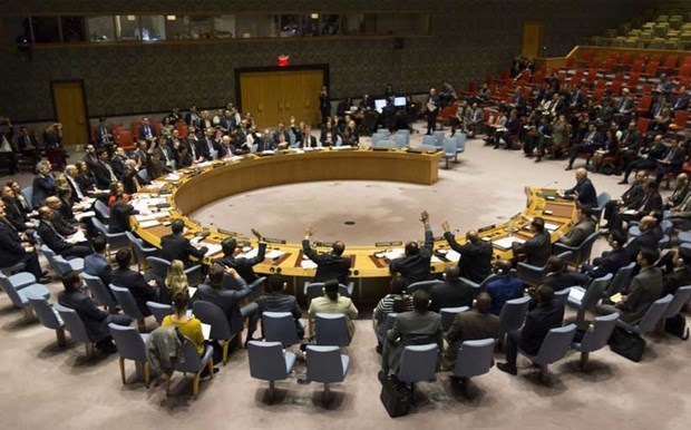 Realzan aportes de Vietnam al Consejo de Seguridad de la ONU hinh anh 1