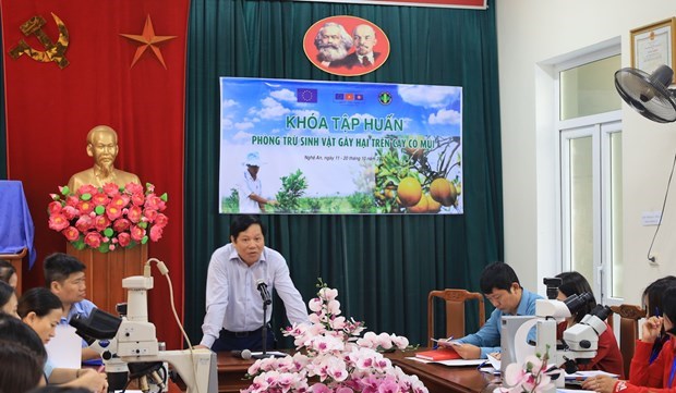 Exportacion de productos agricolas de Vietnam recibe apoyo de UE hinh anh 1