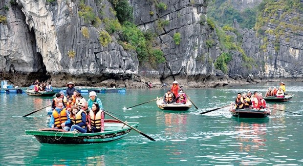 Vietnam disfruta de fuerte aumento en numero de turistas indios hinh anh 1