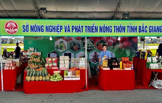 Provincia vietnamita de Bac Giang refuerza promocion de marcas y productos agricolas hinh anh 2