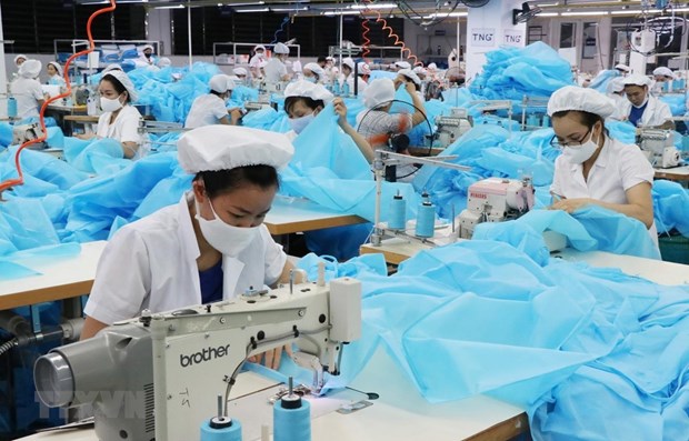 COVID-19: Vietnam por resolver desigualdades de genero en areas laborales hinh anh 1