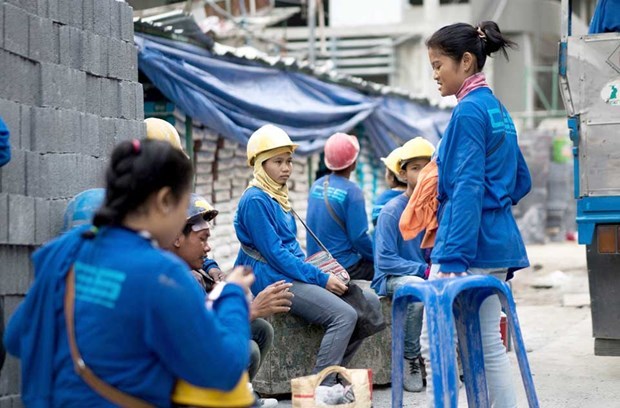 Tailandia aprueba proceso para recibir a trabajadores migrantes hinh anh 1