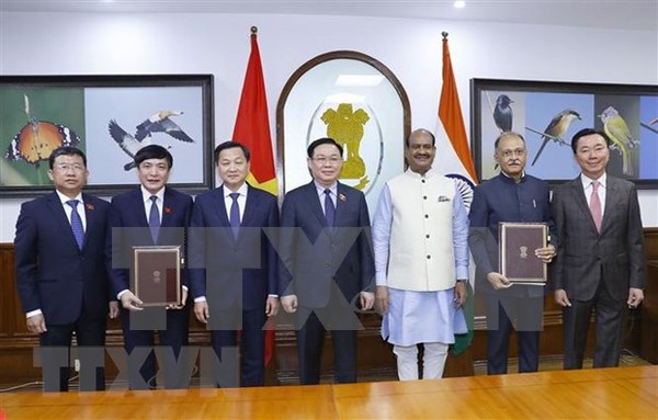 Resaltan aportes de Vietnam a relaciones entre ASEAN y la India ​ hinh anh 2