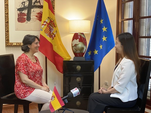 Aprecian perspectivas para la cooperacion Vietnam- Espana en distintos sectores hinh anh 1