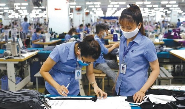 Empresas vietnamitas gozan de ventajas de EVFTA para exportacion a UE hinh anh 2