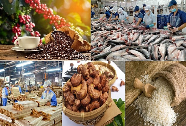 Vietnam ingresa fondo multimillonario por exportaciones agrosilvicolas en enero hinh anh 1
