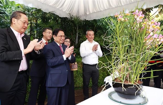 Premier de Vietnam realiza sus primeras actividades en Singapur hinh anh 2