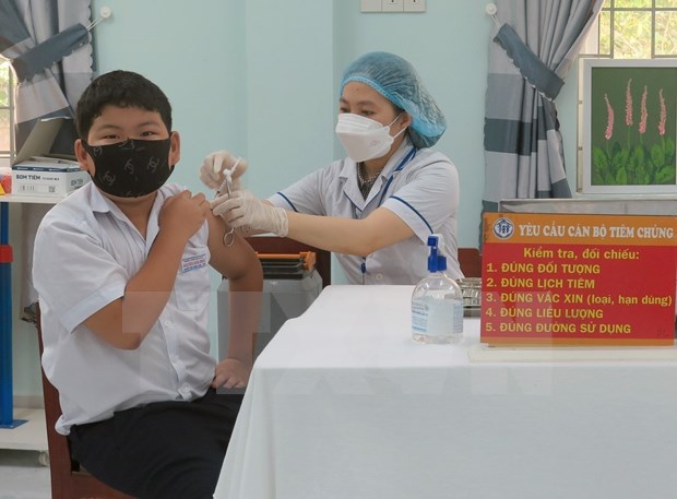 Despliegan gran potencial de Vietnam para produccion de vacunas hinh anh 1