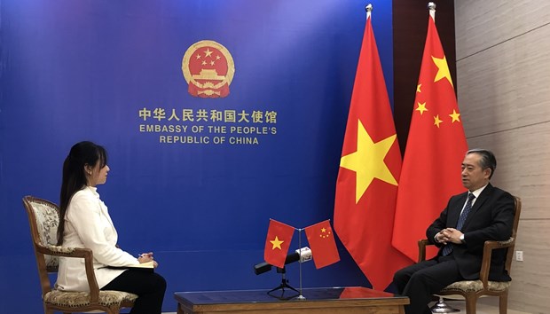 Embajador chino: La economia de Vietnam cuenta con gran apertura y vitalidad hinh anh 1