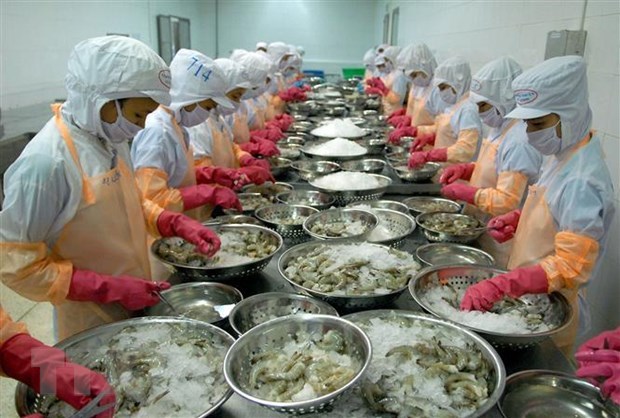 Productores vietnamitas de camarones por desarrollar a largo plazo hinh anh 1