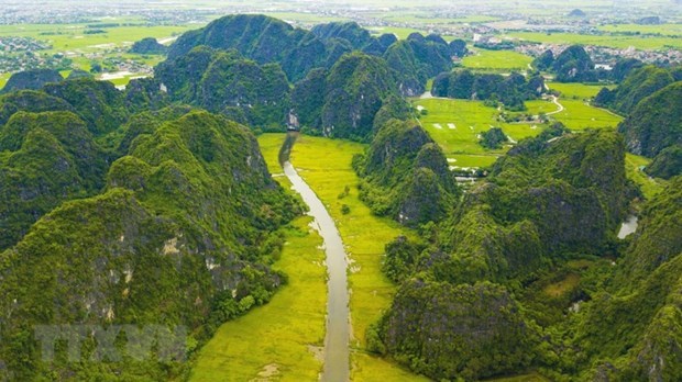 Mes de accion a favor del medioambiente: Hacia un “futuro verde” en Vietnam hinh anh 1