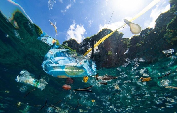Trabaja Vietnam por reducir residuos plasticos en oceano hinh anh 1
