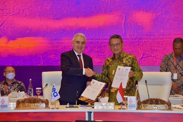 Indonesia presenta hoja de ruta de cero emisiones netas hinh anh 1
