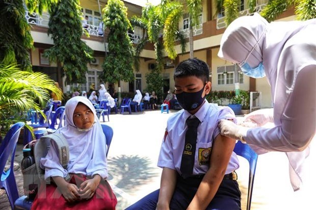 Indonesia aprueba vacuna casera contra el COVID-19 hinh anh 1