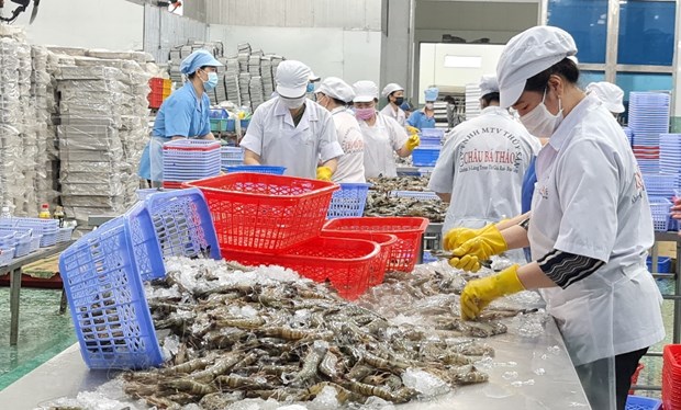 Exportaciones agroforestales-pesqueras superan 53,2 mil millones de dolares en 2022 hinh anh 1