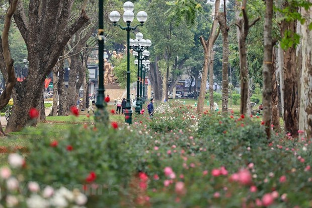 Hanoi presta atencion a parques en la ciudad hinh anh 1