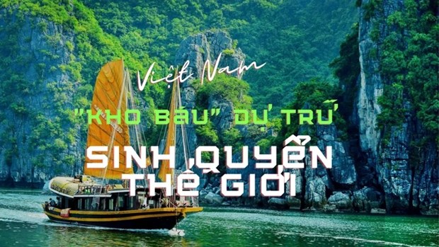 Vietnam defiende valor de las reservas de biosfera para el desarrollo sostenible hinh anh 1