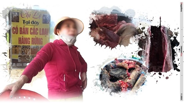 Impedir contrabando de animales salvajes, una batalla actual de Vietnam hinh anh 1
