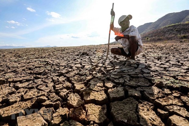 Vietnam despliega iniciativas por Dias mundiales sobre el agua y el clima hinh anh 2