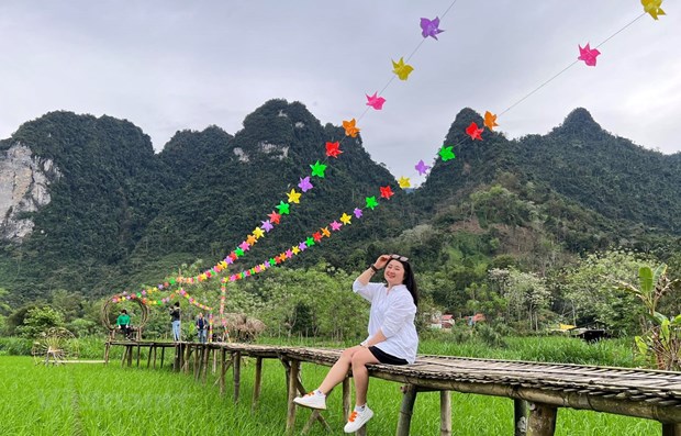 Exigen potenciar turismo en Tuyen Quang, a partir de sus atractivos hinh anh 1