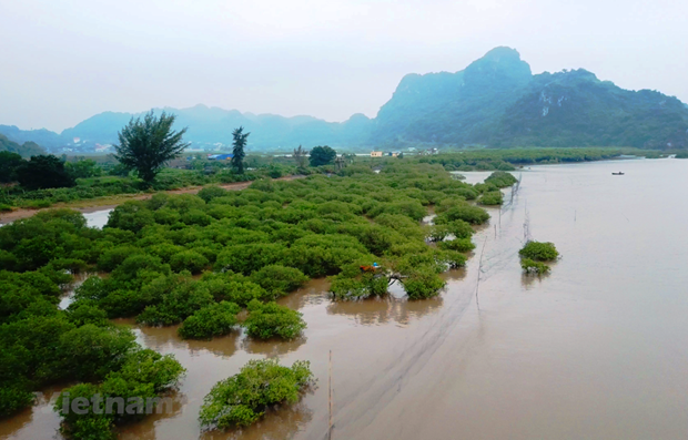 Transicion ecologica por desarrollo sostenible en Vietnam precisa hoja de ruta hinh anh 1