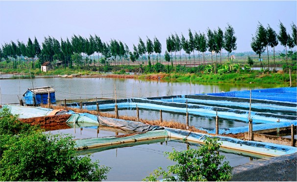 Provincia de Ninh Binh promueve potenciales de economia maritima hinh anh 2