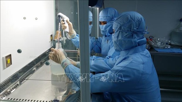 Vietnam se esfuerza por dominar tecnologia de vacuna contra COVID-19 hinh anh 1