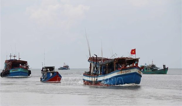 Vietnam busca solucion mas eficaz para el levantamiento de la “tarjeta amarilla” hinh anh 1