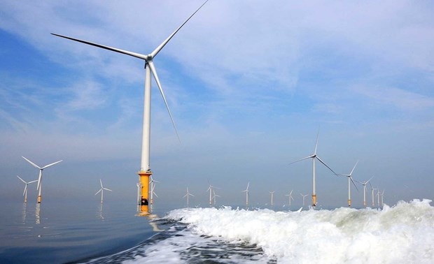 Energia eolica posee potencial en las costas de Vietnam hinh anh 1
