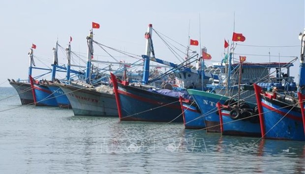 Vietnam determina a poner fin a la pesca ilegal al final de 2021 hinh anh 1